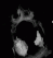 Clinical Trials, Medical Image Management | Medical Metrics 