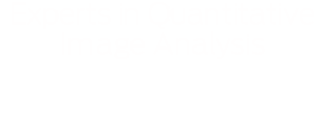 Experts in Quantitative Image Analysis