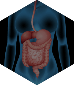 Thoracoabdominal