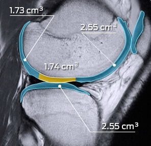 TA_Ortho